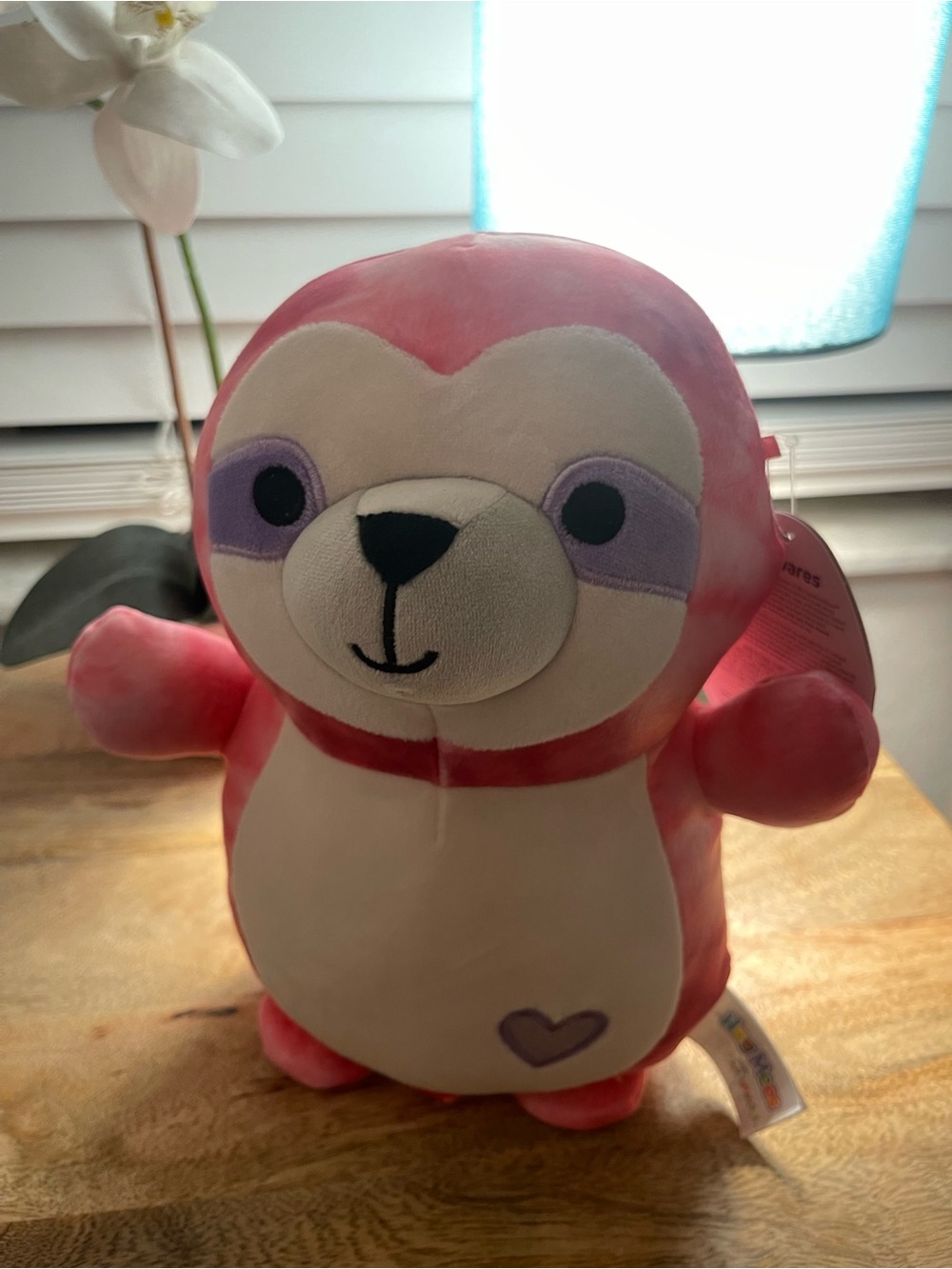 Squishmallows Sadie Sloth 10” Valentine HugMees Plush NWT